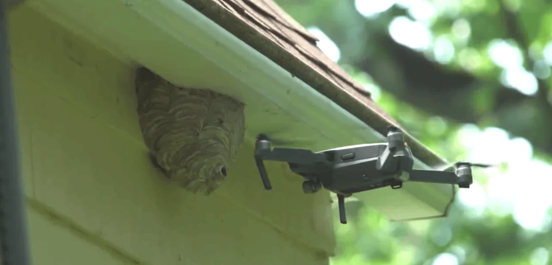 A drone hovering beside a wasp nest under a gutter