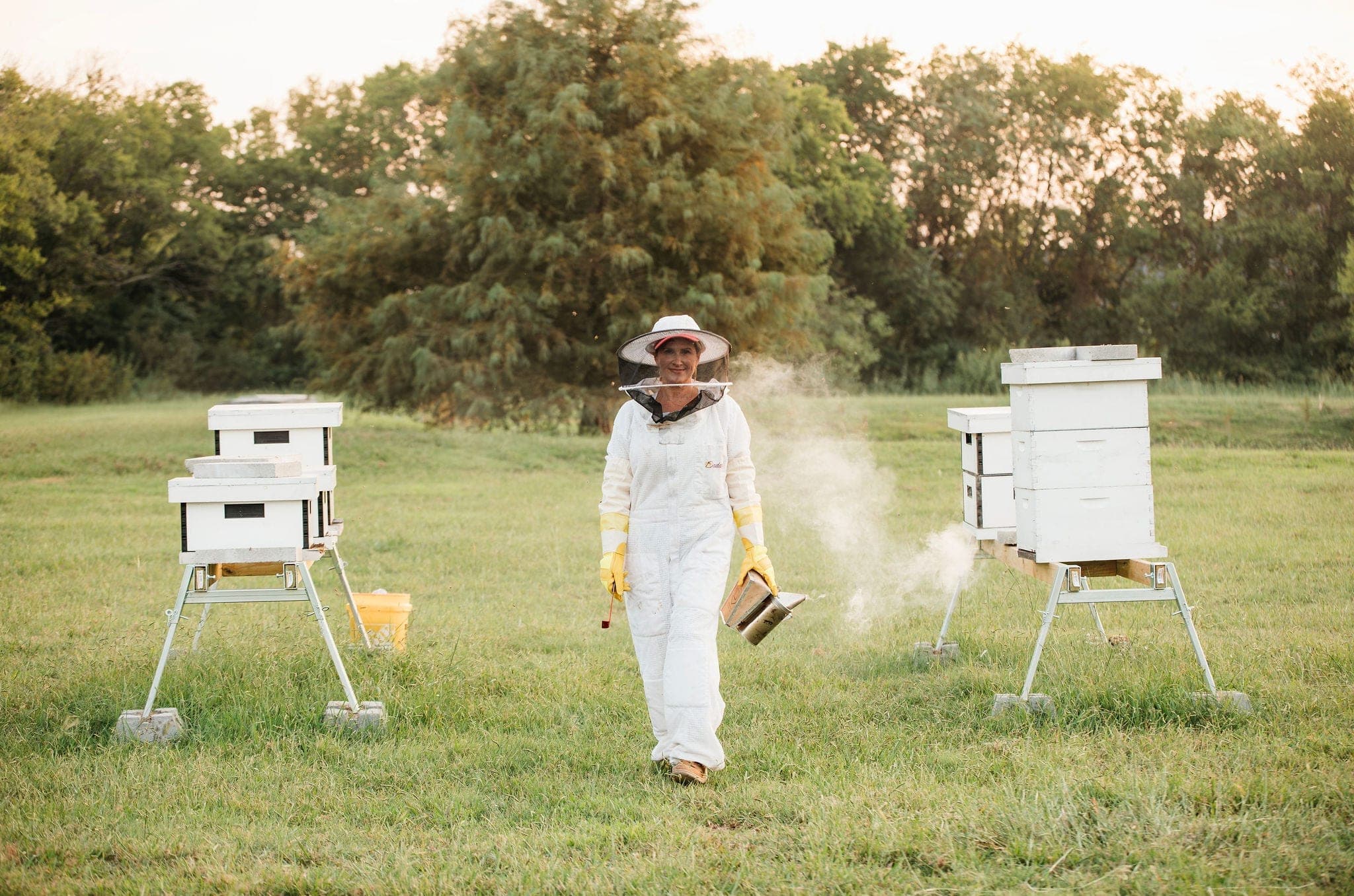 Beekeeper walking between hives at dusk with a smoker