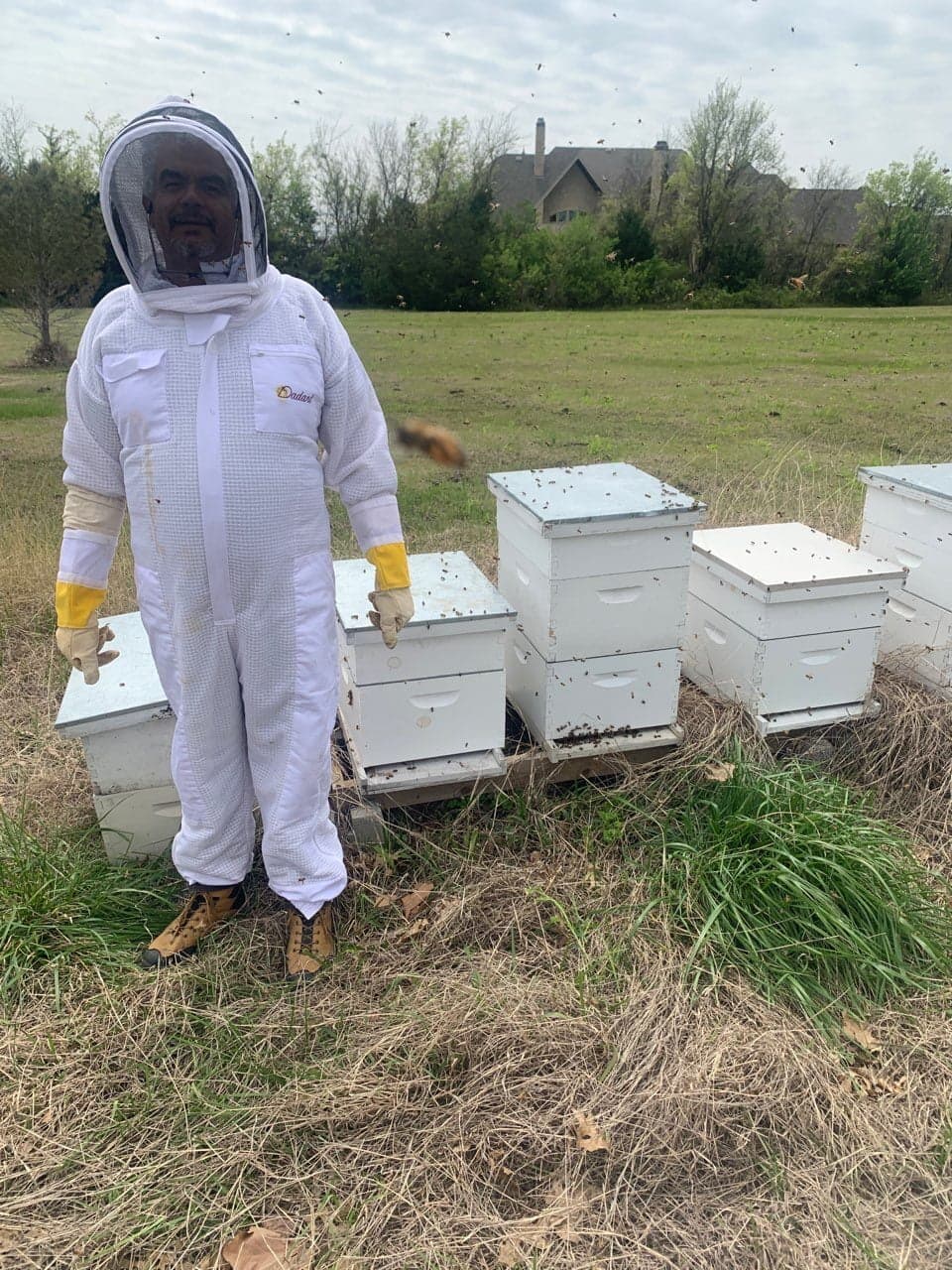 Beekeeper standing beside a row of white hives in a field