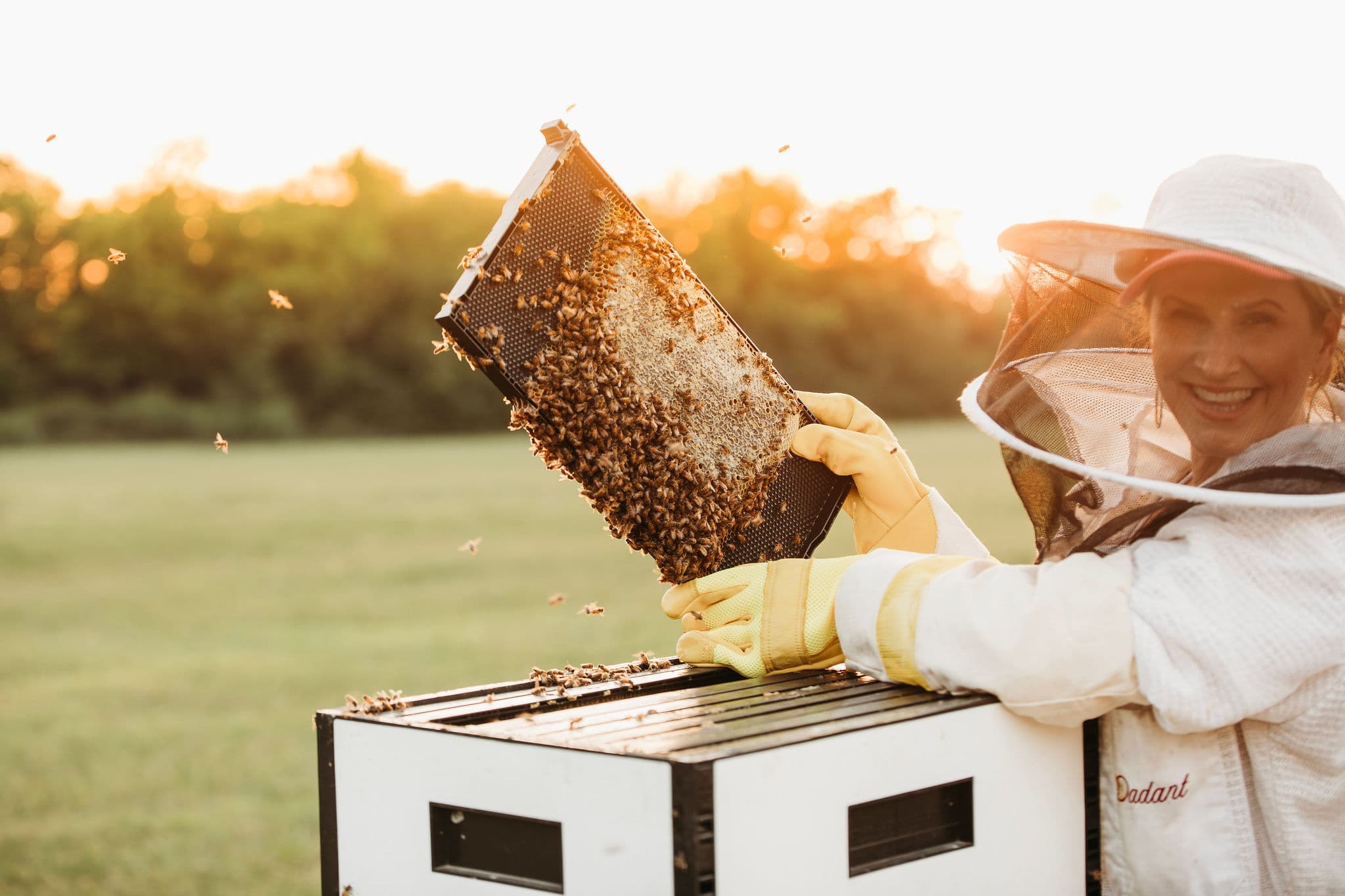 Esther Davis lifting a frame of bees from a hive