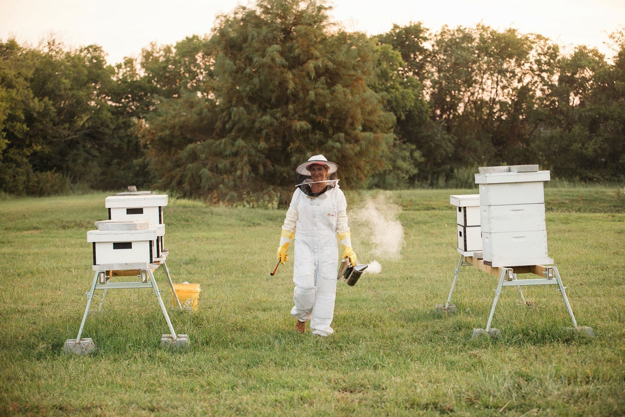 Beekeeper walking a row of hives at an apiary