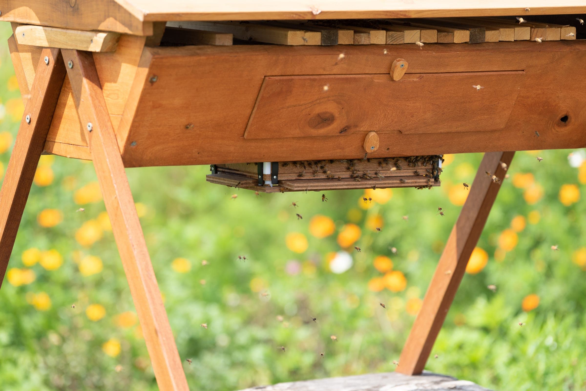 A hive on a stand in a wildflower meadow