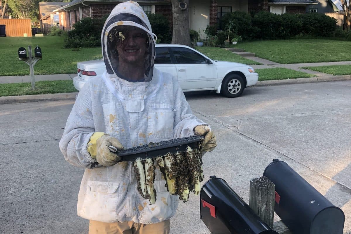 Ethan Davis holding a frame of salvaged comb after a removal