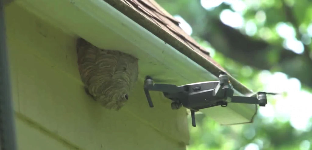 WaspNest Drone