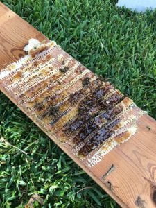 Esther Davis IMG 4981 scaled 1