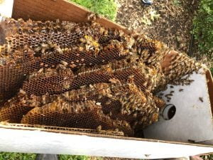 Esther Davis IMG 5015 scaled 1